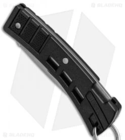 Buck Knives -Buck Knives Buck MiniBuck Keychain BU425BKSVP BHQ 41353 jr spine