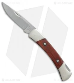 Buck Knives Buck Prince Knife 3.5" Rosewood Dymondwood 0503RWS