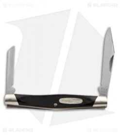 Buck Knives Buck Lancer Knife 2.625" Black Valox 0305BKS