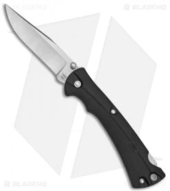 Buck Knives Buck Bucklite MAX Lockback Knife Black GRN (4" Satin)
